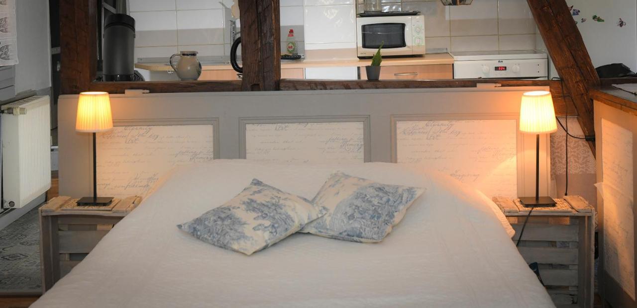 Le Duplex Apartment Colmar Bagian luar foto