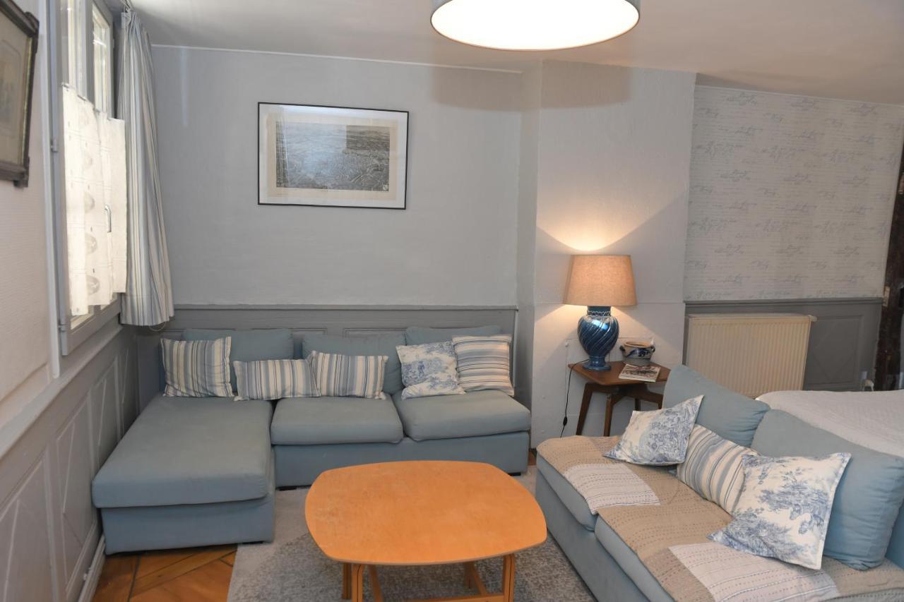 Le Duplex Apartment Colmar Bagian luar foto